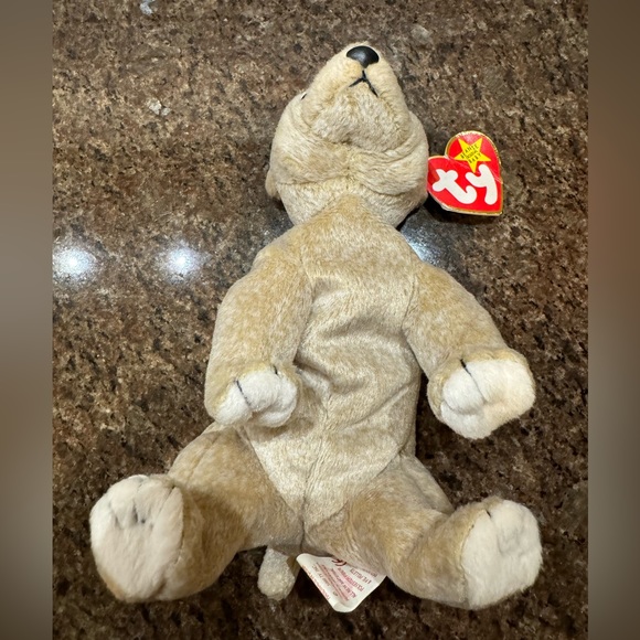 Ty Beanie Baby Almond The Bear DOB April 14, 1999 - Picture 6 of 8